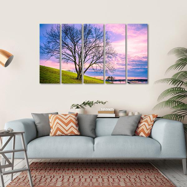 Sunset Behind Leafless Winter Tree Canvas Wall Art-5 Horizontal-Gallery Wrap-22" x 12"-Tiaracle