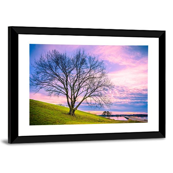 Sunset Behind Leafless Winter Tree Canvas Wall Art-3 Horizontal-Gallery Wrap-25" x 16"-Tiaracle