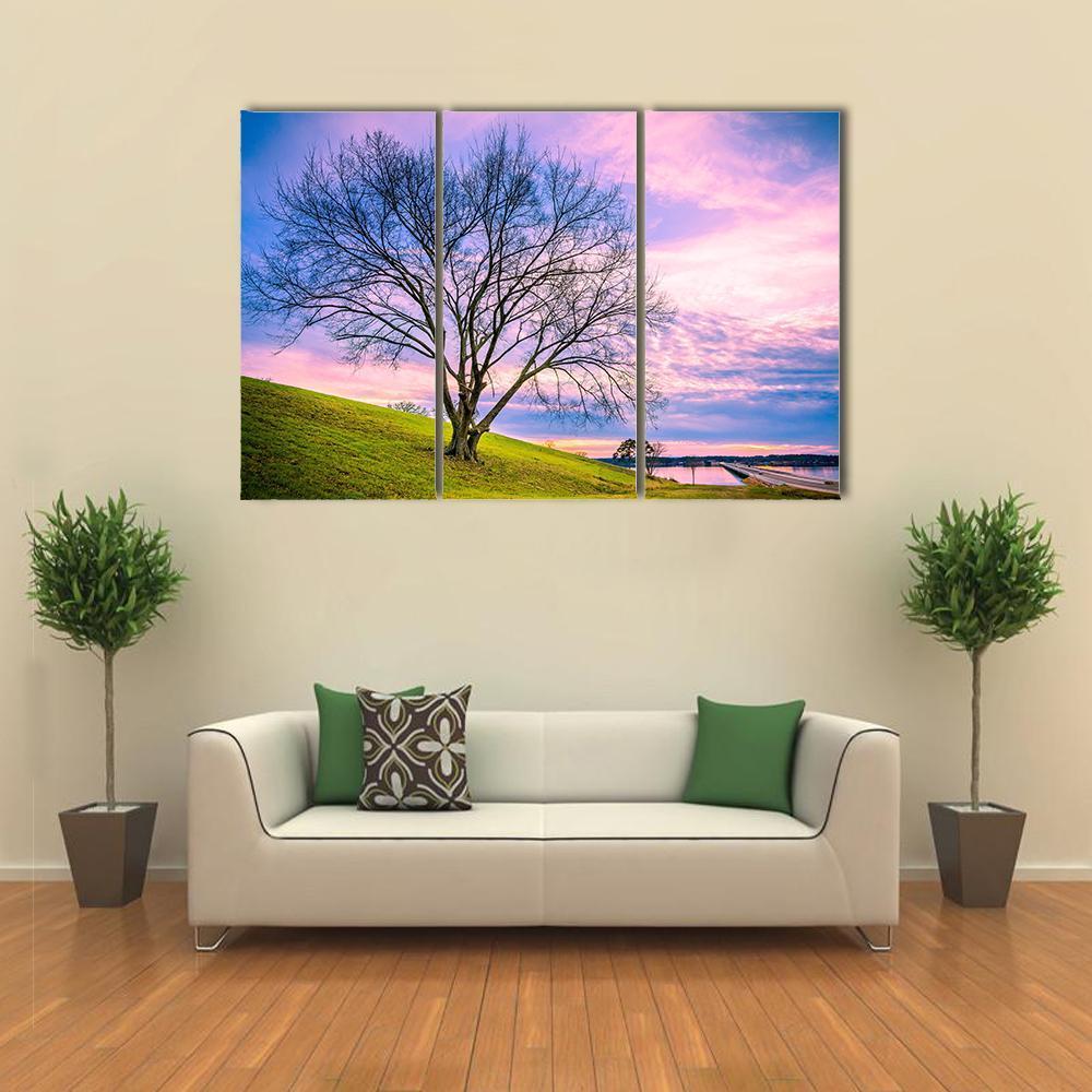 Sunset Behind Leafless Winter Tree Canvas Wall Art-3 Horizontal-Gallery Wrap-37" x 24"-Tiaracle