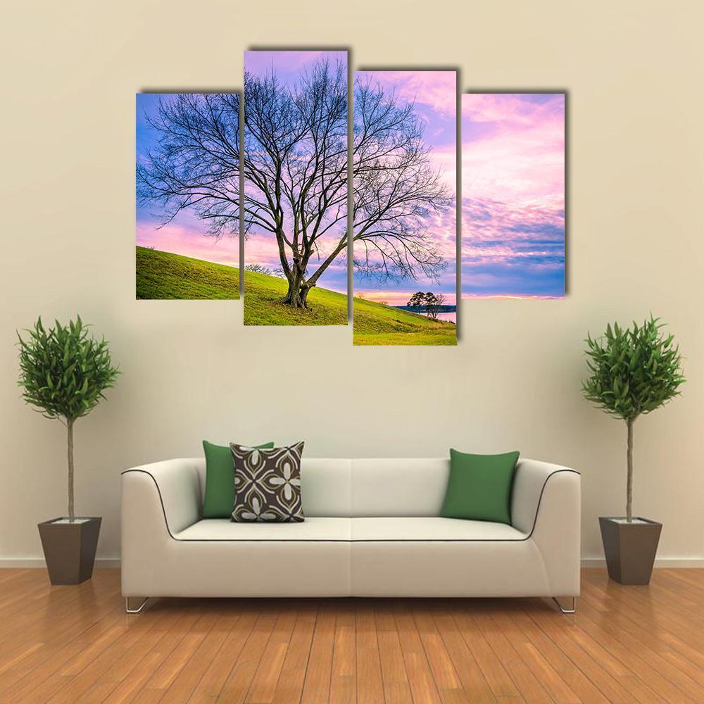 Sunset Behind Leafless Winter Tree Canvas Wall Art-1 Piece-Gallery Wrap-48" x 32"-Tiaracle