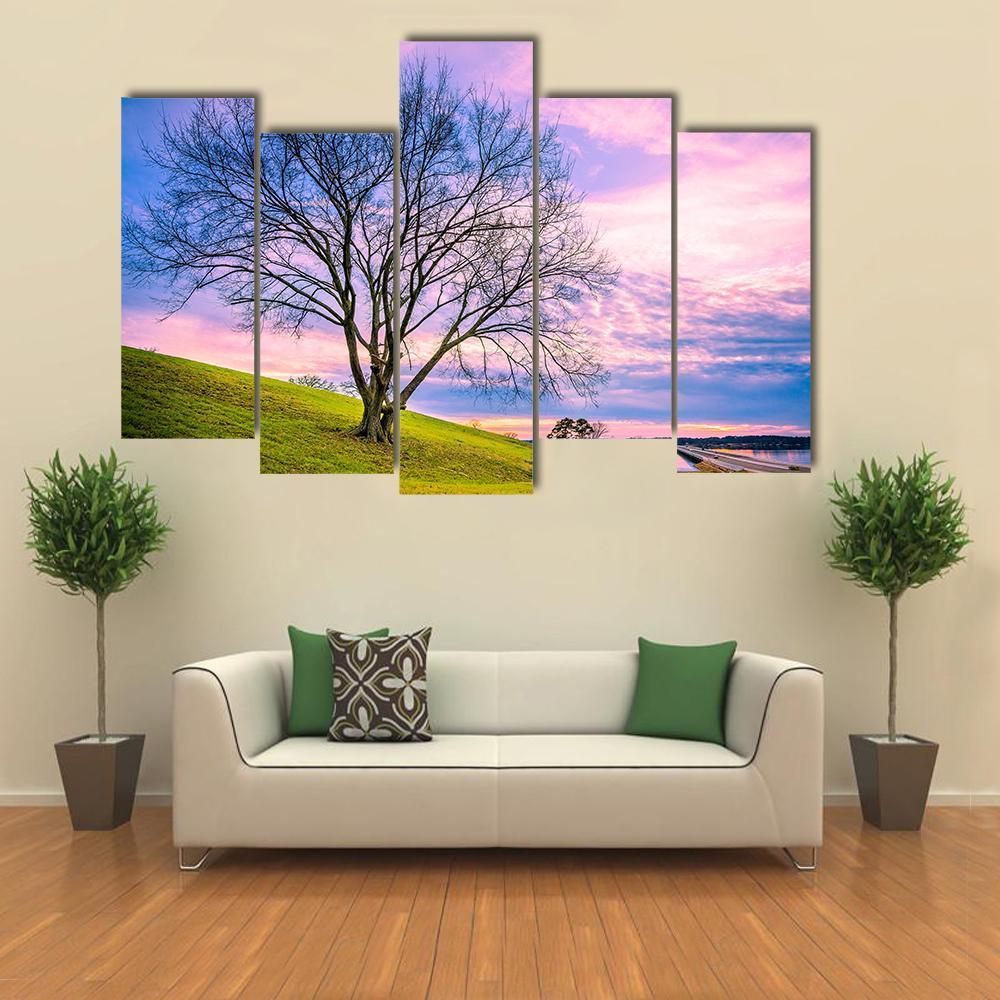 Sunset Behind Leafless Winter Tree Canvas Wall Art-5 Pop-Gallery Wrap-47" x 32"-Tiaracle