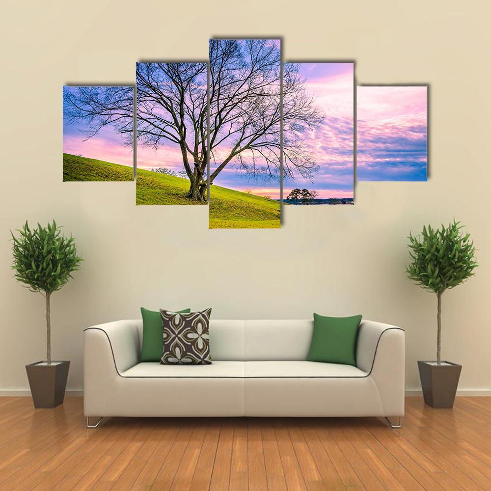 Sunset Behind Leafless Winter Tree Canvas Wall Art-5 Star-Gallery Wrap-62" x 32"-Tiaracle