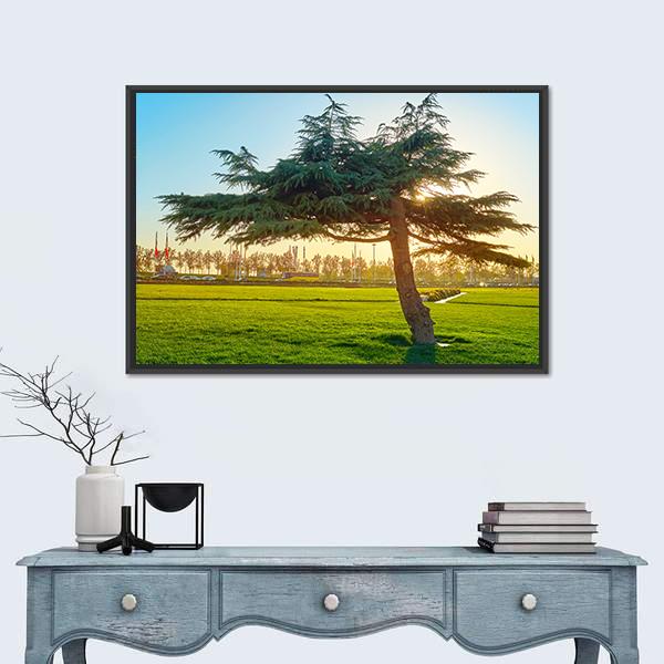 Sunset In Park At Azadi Square Canvas Wall Art-1 Piece-Floating Frame-24" x 16"-Tiaracle