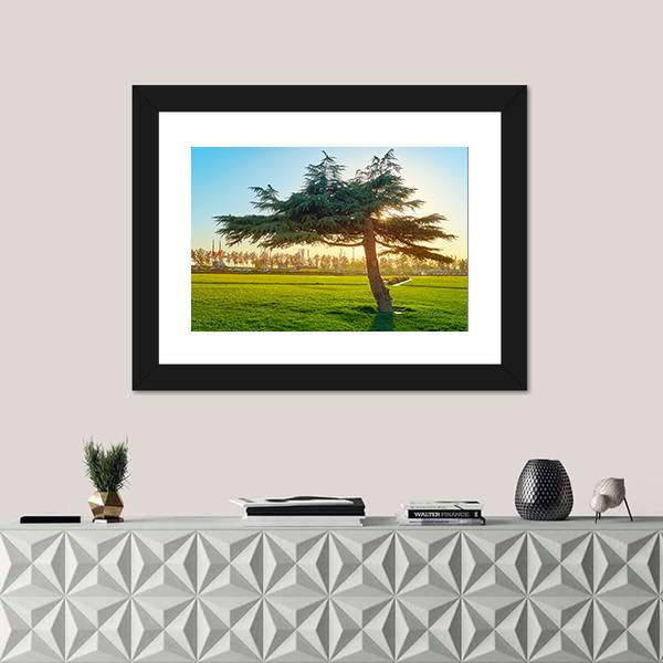 Sunset In Park At Azadi Square Canvas Wall Art-1 Piece-Framed Print-20" x 16"-Tiaracle