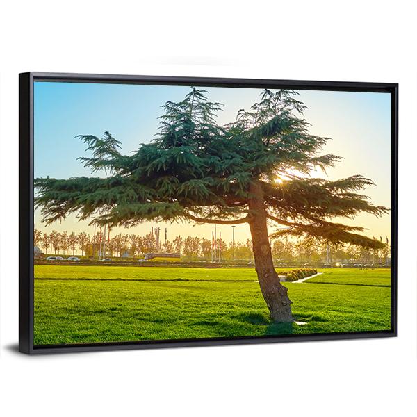 Sunset In Park At Azadi Square Canvas Wall Art-3 Horizontal-Gallery Wrap-25" x 16"-Tiaracle
