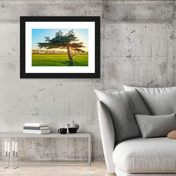 Sunset In Park At Azadi Square Canvas Wall Art-3 Horizontal-Gallery Wrap-25" x 16"-Tiaracle