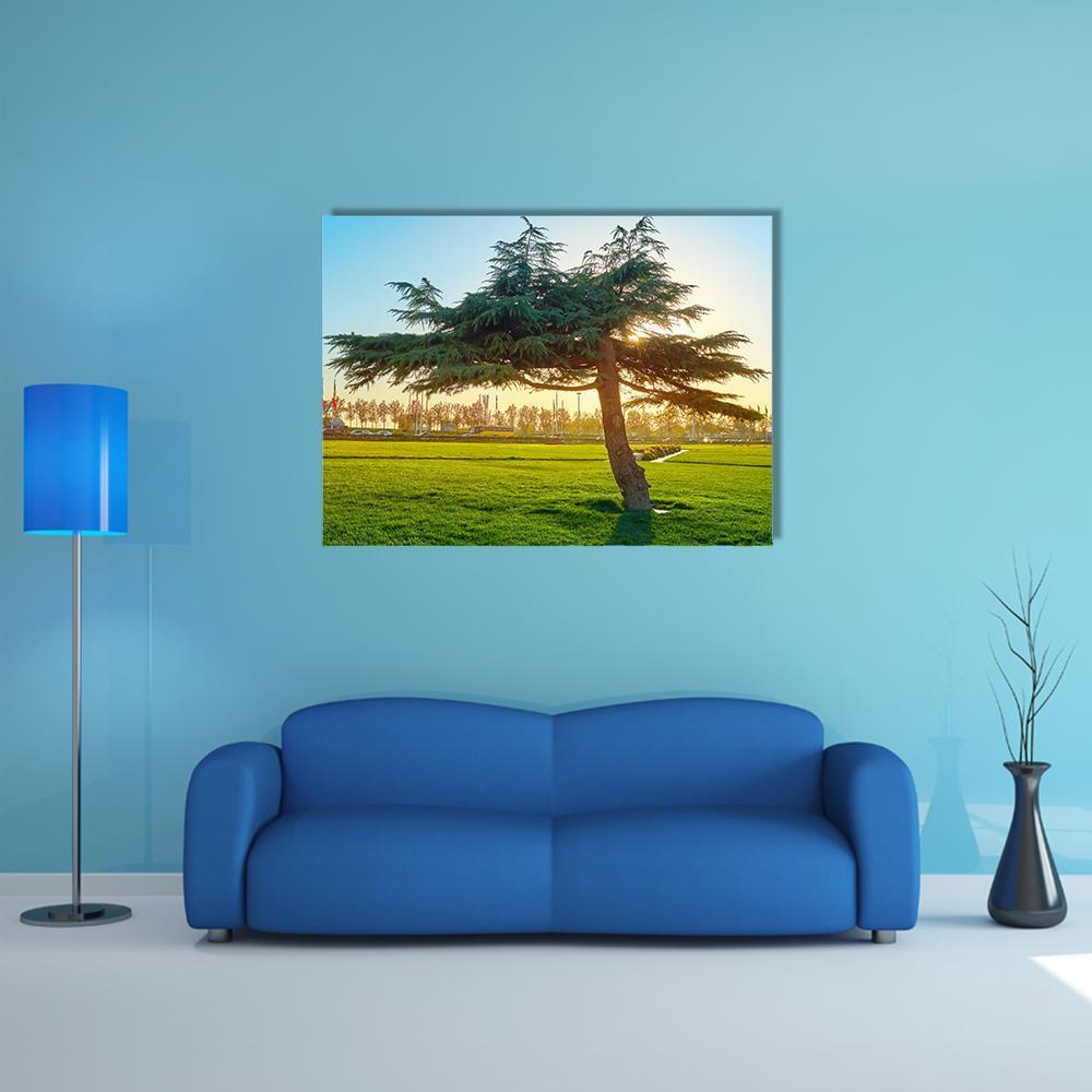 Sunset In Park At Azadi Square Canvas Wall Art-1 Piece-Gallery Wrap-48" x 32"-Tiaracle