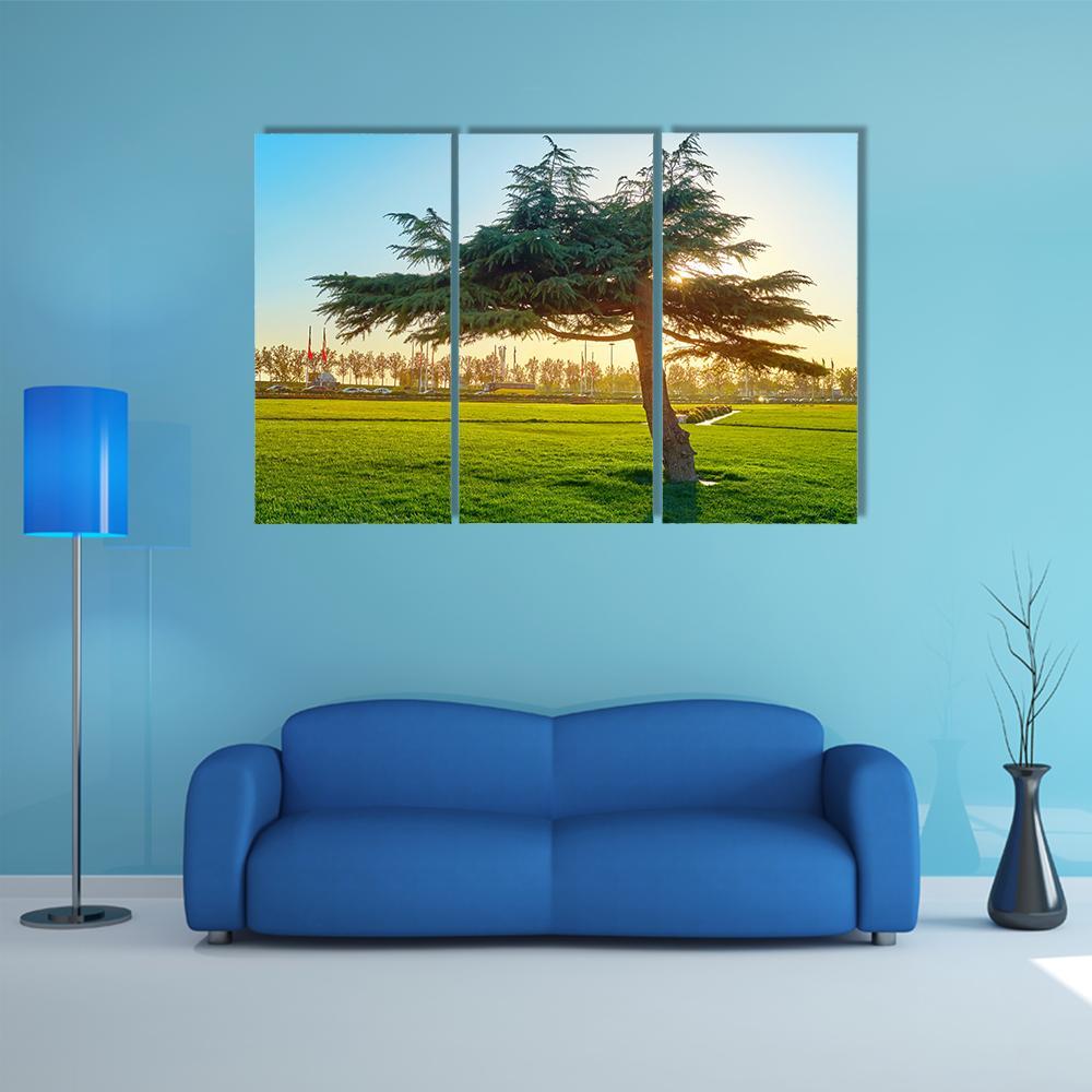Sunset In Park At Azadi Square Canvas Wall Art-3 Horizontal-Gallery Wrap-37" x 24"-Tiaracle