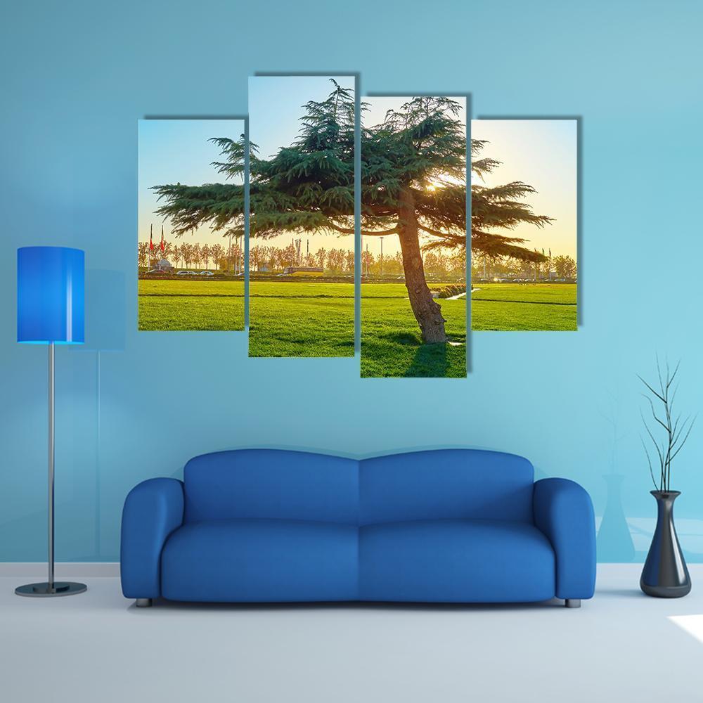Sunset In Park At Azadi Square Canvas Wall Art-4 Pop-Gallery Wrap-50" x 32"-Tiaracle