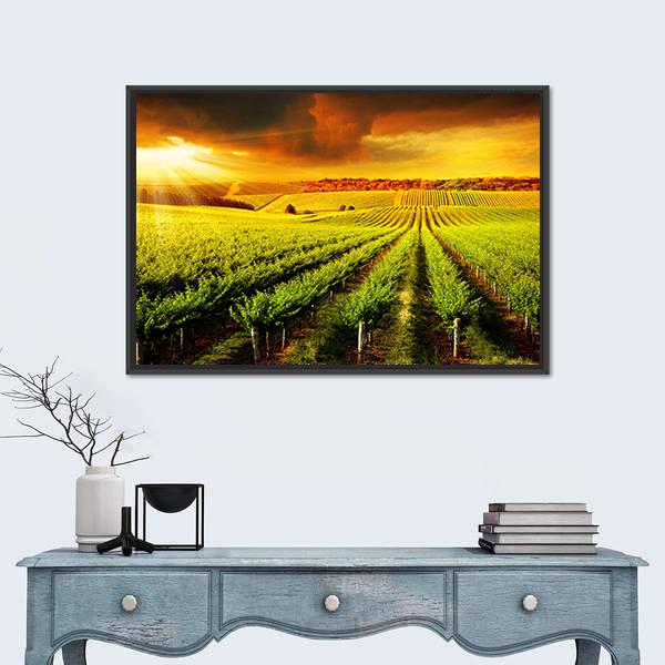 Sunset Over A Barossa Vineyard Canvas Wall Art-1 Piece-Floating Frame-24" x 16"-Tiaracle