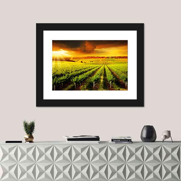 Sunset Over A Barossa Vineyard Canvas Wall Art-1 Piece-Framed Print-20" x 16"-Tiaracle