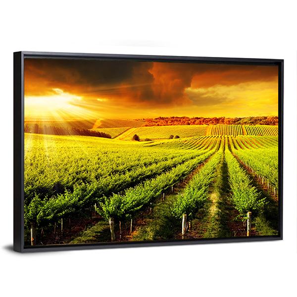 Sunset Over A Barossa Vineyard Canvas Wall Art-3 Horizontal-Gallery Wrap-25" x 16"-Tiaracle