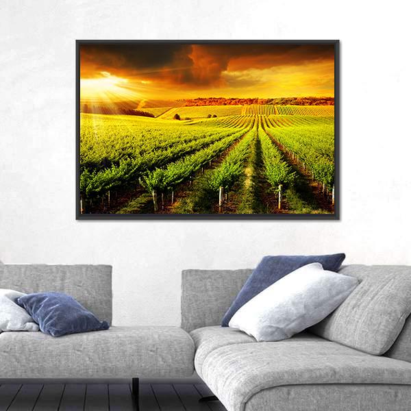 Sunset Over A Barossa Vineyard Canvas Wall Art-3 Horizontal-Gallery Wrap-25" x 16"-Tiaracle