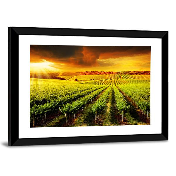 Sunset Over A Barossa Vineyard Canvas Wall Art-3 Horizontal-Gallery Wrap-25" x 16"-Tiaracle