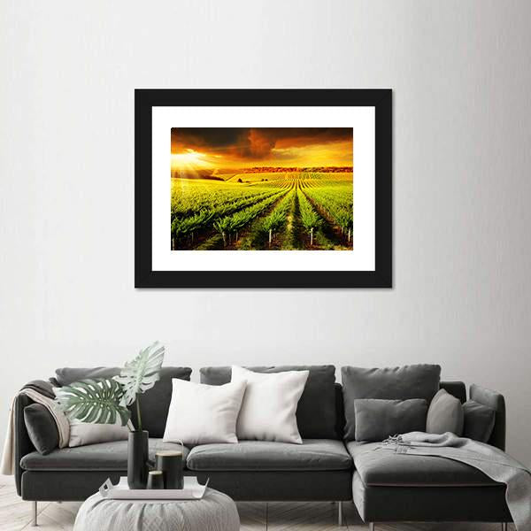 Sunset Over A Barossa Vineyard Canvas Wall Art-3 Horizontal-Gallery Wrap-25" x 16"-Tiaracle