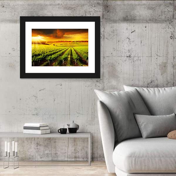 Sunset Over A Barossa Vineyard Canvas Wall Art-3 Horizontal-Gallery Wrap-25" x 16"-Tiaracle