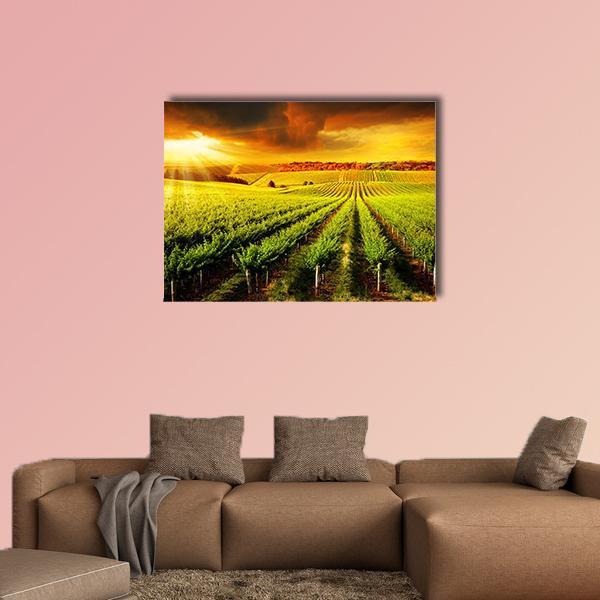 Barossa Vineyard at Sunset Canvas Wall Art in orange, yellow and green, single panel hung on a wall