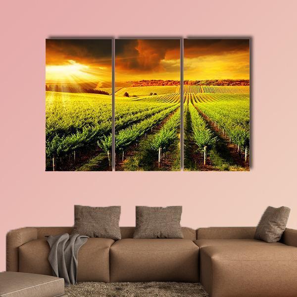 Sunset Over A Barossa Vineyard Canvas Wall Art-3 Horizontal-Gallery Wrap-37" x 24"-Tiaracle