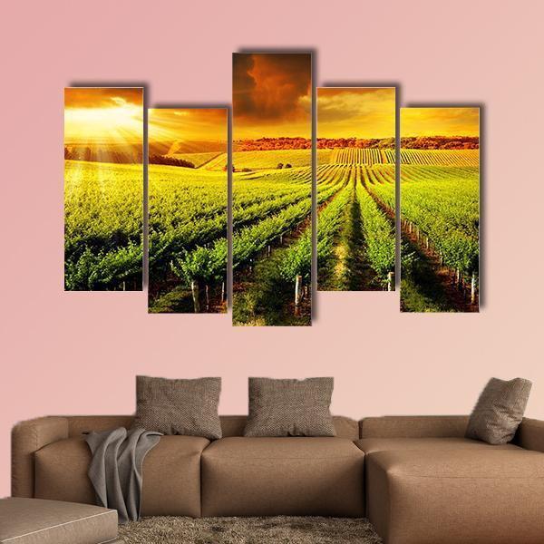 Sunset Over A Barossa Vineyard Canvas Wall Art-5 Pop-Gallery Wrap-47" x 32"-Tiaracle