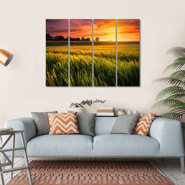 Sunset Over A Wheat Field Canvas Wall Art-4 Horizontal-Gallery Wrap-34" x 24"-Tiaracle