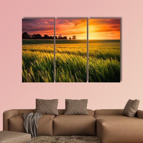Sunset Over A Wheat Field Canvas Wall Art-3 Horizontal-Gallery Wrap-25" x 16"-Tiaracle