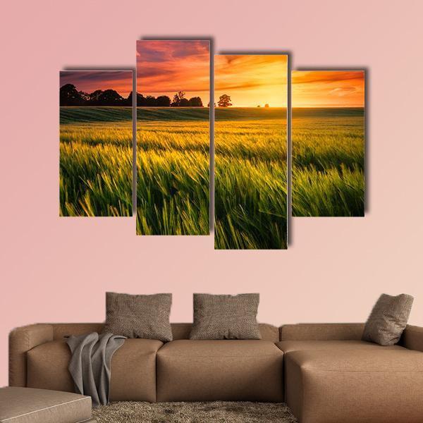 Sunset Over A Wheat Field Canvas Wall Art-4 Pop-Gallery Wrap-50" x 32"-Tiaracle