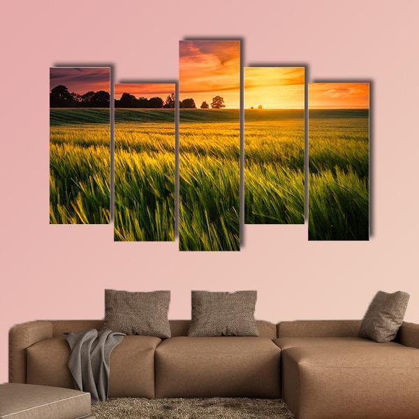 Sunset Over A Wheat Field Canvas Wall Art-5 Pop-Gallery Wrap-47" x 32"-Tiaracle