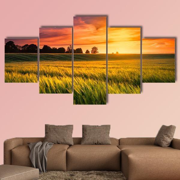 Sunset Over A Wheat Field Canvas Wall Art-5 Star-Gallery Wrap-62" x 32"-Tiaracle