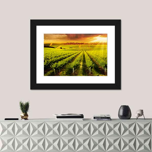 Sunset Over Vineyard Canvas Wall Art-1 Piece-Framed Print-20" x 16"-Tiaracle