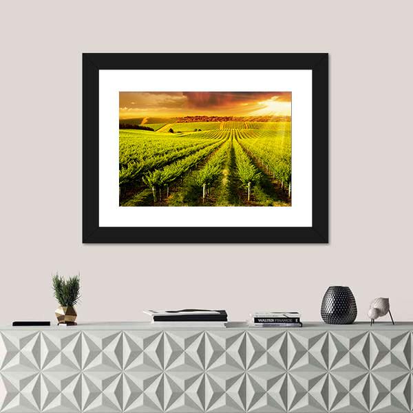 Sunset Over Vineyard Canvas Wall Art-1 Piece-Framed Print-20" x 16"-Tiaracle