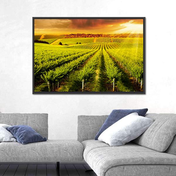 Sunset Over Vineyard Canvas Wall Art-5 Horizontal-Gallery Wrap-22" x 12"-Tiaracle