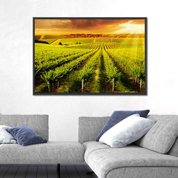 Sunset Over Vineyard Canvas Wall Art-3 Horizontal-Gallery Wrap-25" x 16"-Tiaracle