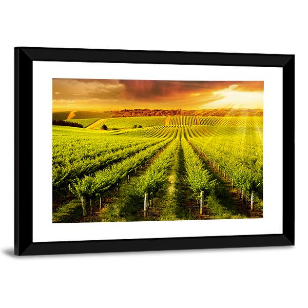 Sunset Over Vineyard Canvas Wall Art-3 Horizontal-Gallery Wrap-25" x 16"-Tiaracle