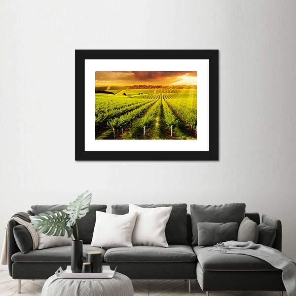 Sunset Over Vineyard Canvas Wall Art-3 Horizontal-Gallery Wrap-25" x 16"-Tiaracle