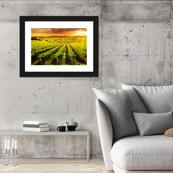 Sunset Over Vineyard Canvas Wall Art-3 Horizontal-Gallery Wrap-25" x 16"-Tiaracle