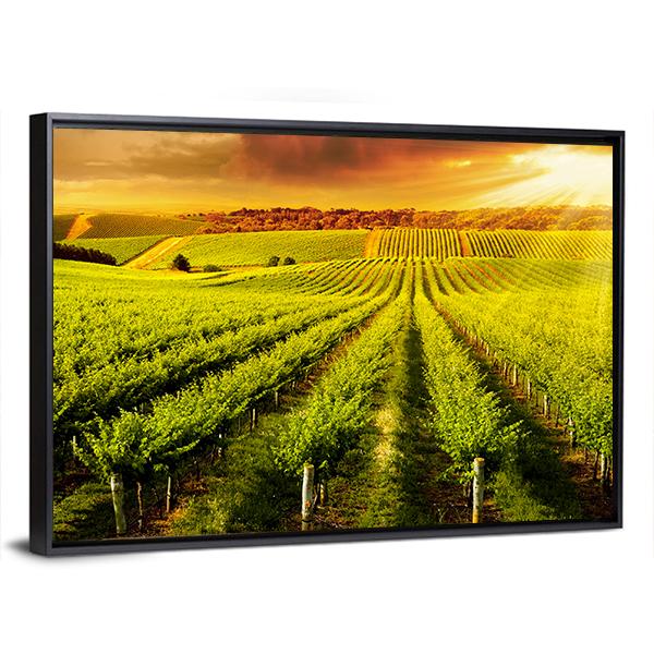 Sunset Over Vineyard Canvas Wall Art-5 Horizontal-Gallery Wrap-22" x 12"-Tiaracle