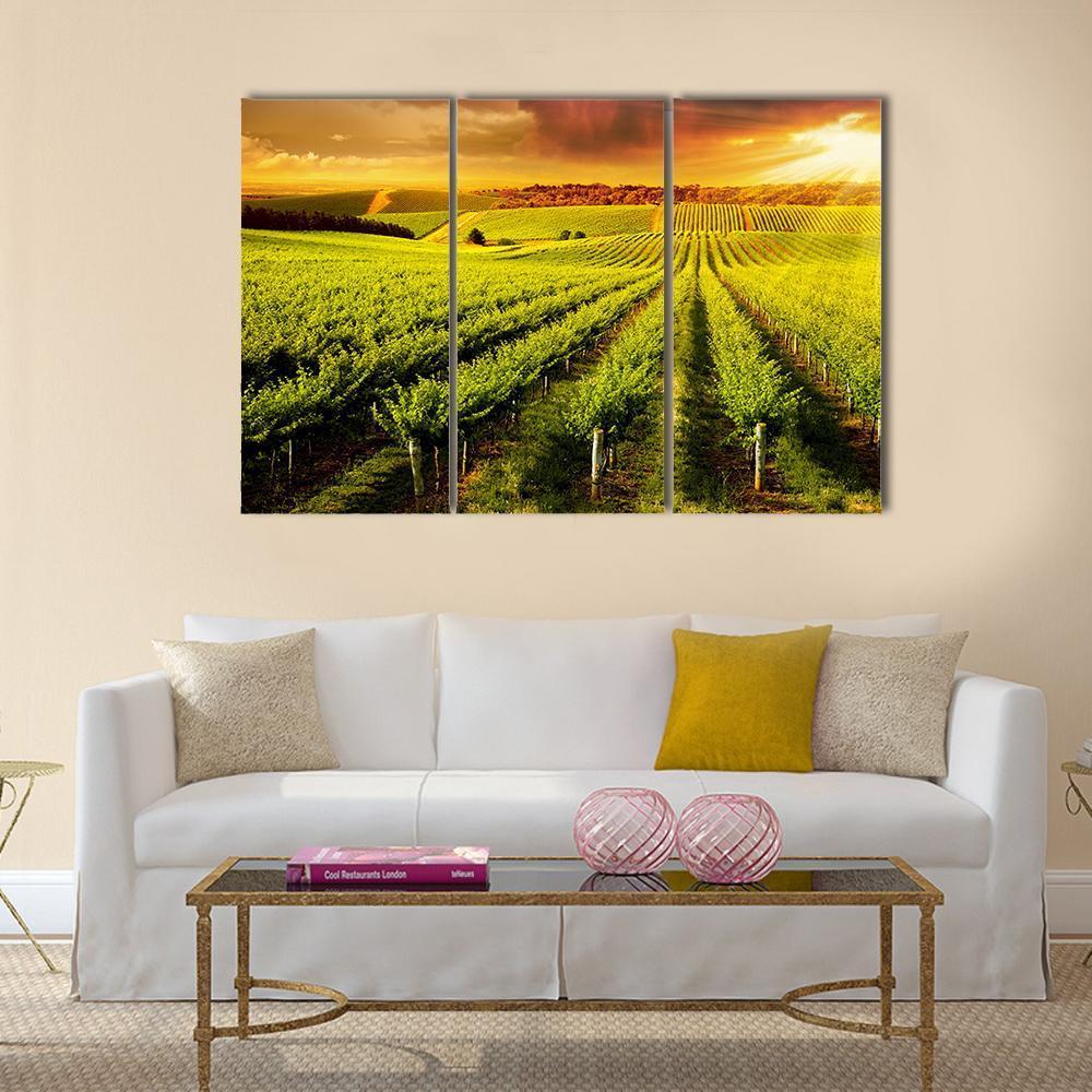 Sunset Over Vineyard Canvas Wall Art-3 Horizontal-Gallery Wrap-37" x 24"-Tiaracle