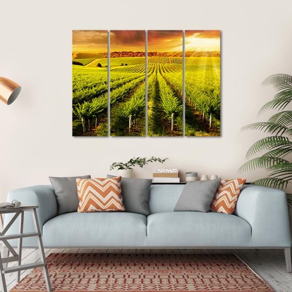 Sunset Over Vineyard Canvas Wall Art-4 Horizontal-Gallery Wrap-34" x 24"-Tiaracle