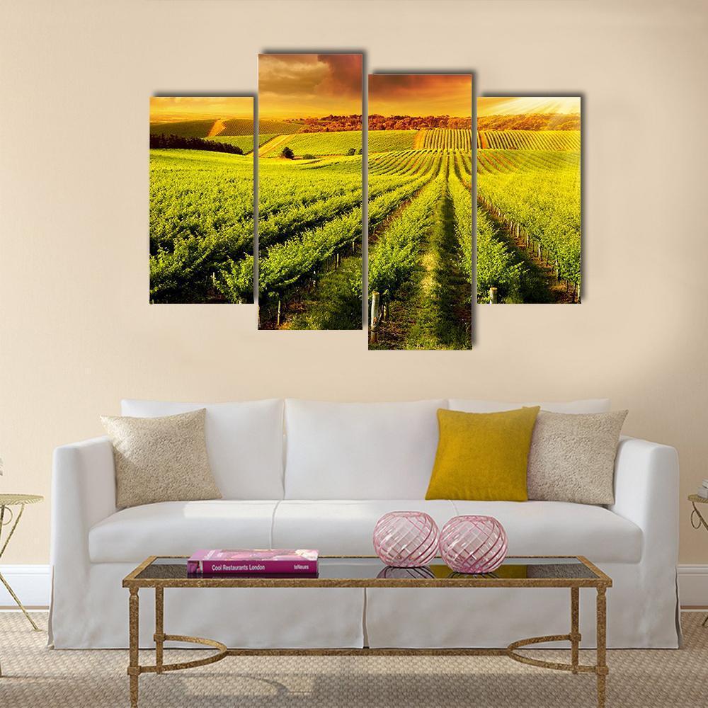 Sunset Over Vineyard Canvas Wall Art-4 Pop-Gallery Wrap-50" x 32"-Tiaracle