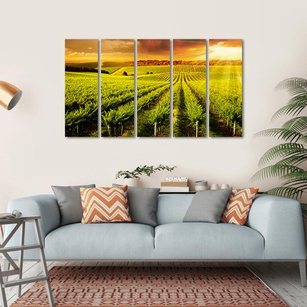 Sunset Over Vineyard Canvas Wall Art-5 Horizontal-Gallery Wrap-22" x 12"-Tiaracle