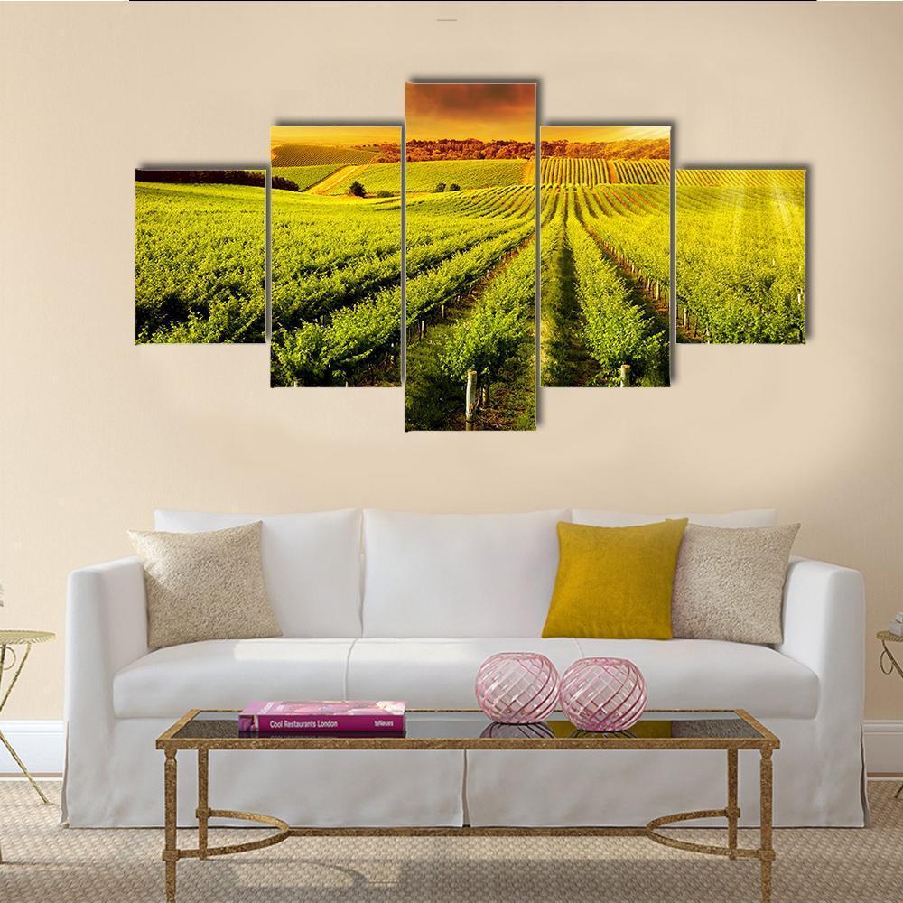 Sunset Over Vineyard Canvas Wall Art-5 Star-Gallery Wrap-62" x 32"-Tiaracle