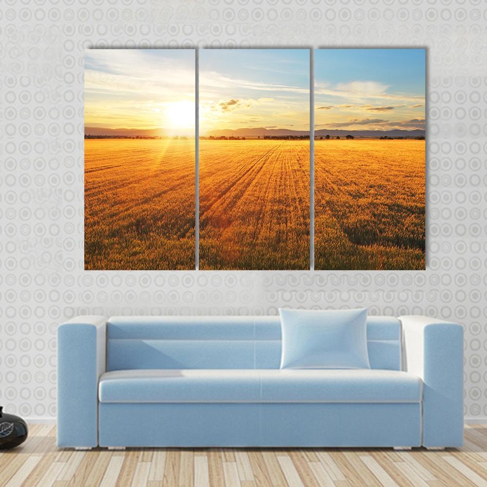 Sunset Over Wheat Field Canvas Wall Art-3 Horizontal-Gallery Wrap-37" x 24"-Tiaracle
