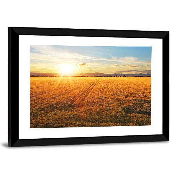Sunset Over Wheat Field Panoramic Canvas Wall Art-1 Piece-36" x 12"-Tiaracle