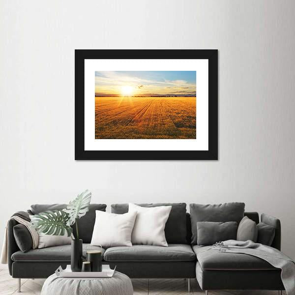 Sunset Over Wheat Field Panoramic Canvas Wall Art-1 Piece-36" x 12"-Tiaracle