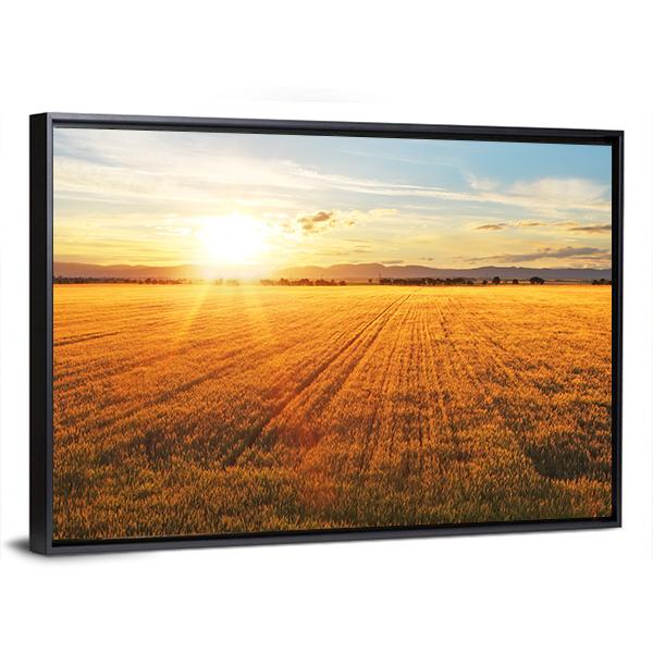 Sunset Over Wheat Field Panoramic Canvas Wall Art-1 Piece-36" x 12"-Tiaracle