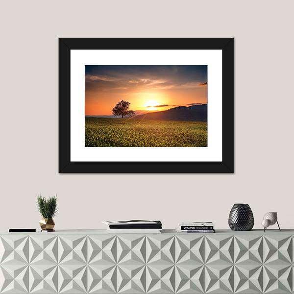 Sunset With Single Calm Tree Canvas Wall Art-1 Piece-Framed Print-20" x 16"-Tiaracle