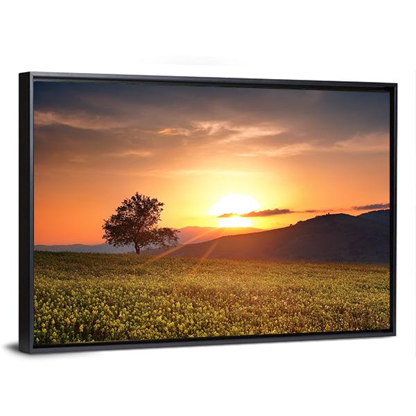 Sunset With Single Calm Tree Canvas Wall Art-3 Horizontal-Gallery Wrap-25" x 16"-Tiaracle