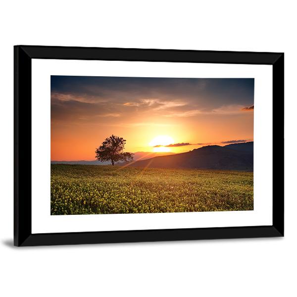 Sunset With Single Calm Tree Canvas Wall Art-3 Horizontal-Gallery Wrap-25" x 16"-Tiaracle