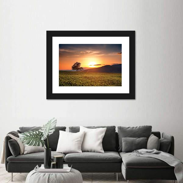 Sunset With Single Calm Tree Canvas Wall Art-3 Horizontal-Gallery Wrap-25" x 16"-Tiaracle