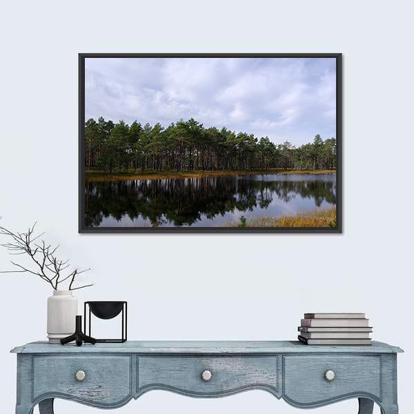 Swamp Viru Raba In Estonia Canvas Wall Art-1 Piece-Floating Frame-24" x 16"-Tiaracle